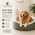 Gailvital™ OrthoLuxe Support Pet Bed