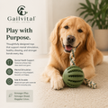 Gailvital™ ChewCore Interactive Dental Toy
