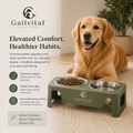 Gailvital™ LiftEase Elevated Pet Dining Station