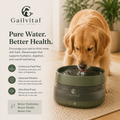 Gailvital™ AquaFlow Smart Pet Fountain
